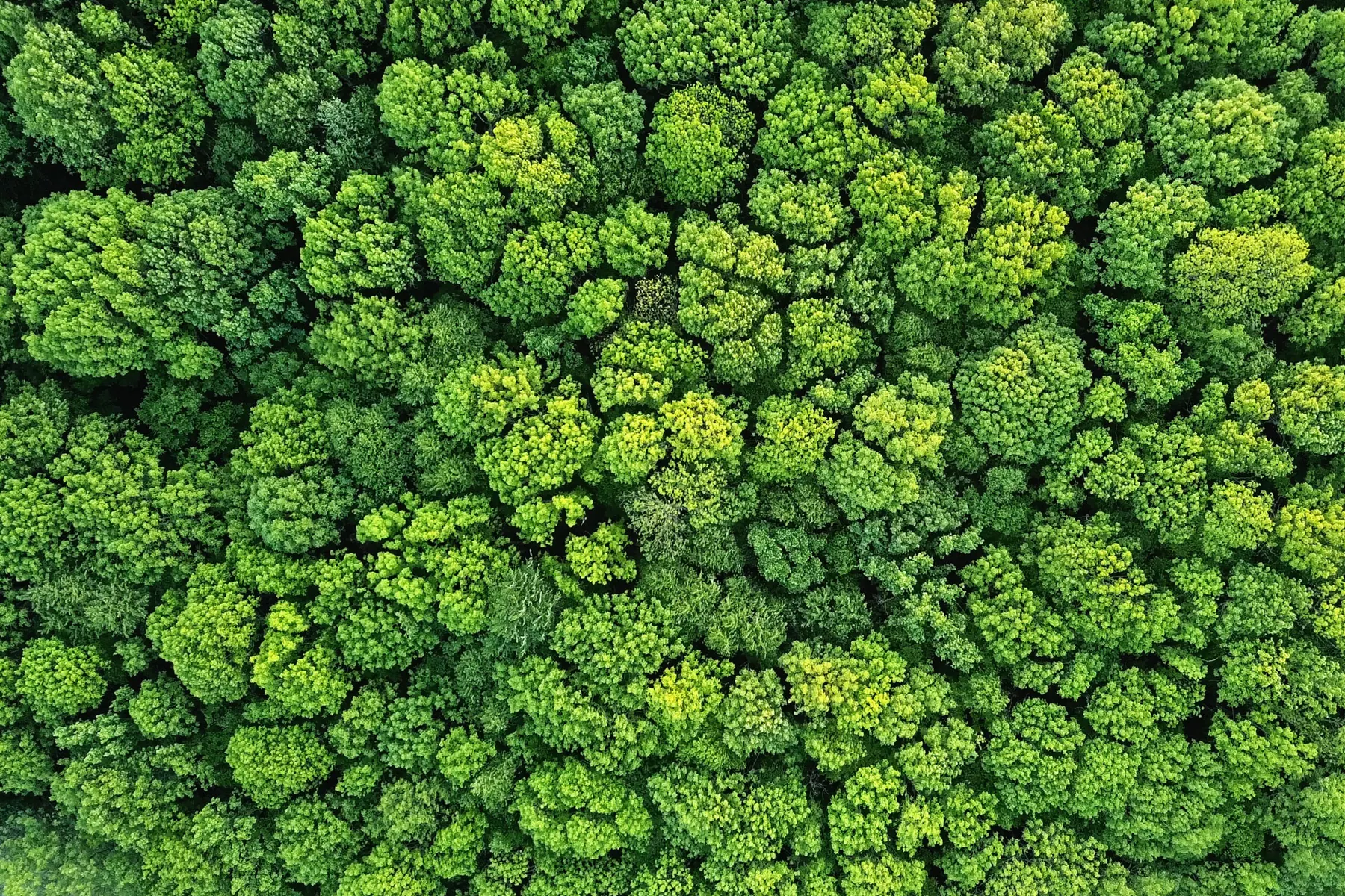 Unser Beitrag zur Umwelt