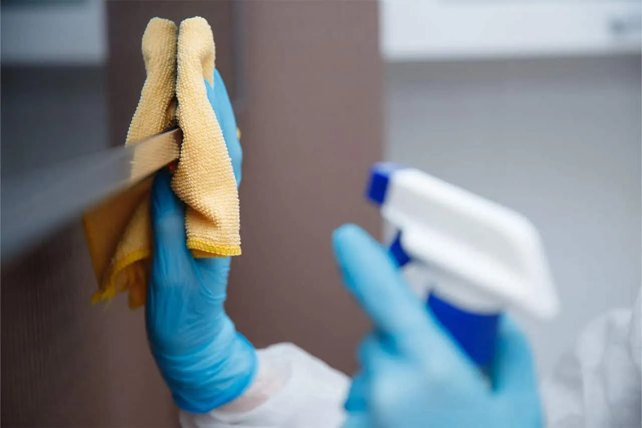 Detailreinigung im Haushalt
